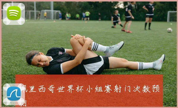 佩里西奇世界杯小组赛射门次数预测