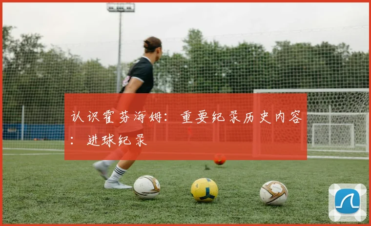认识霍芬海姆：重要纪录历史内容：进球纪录