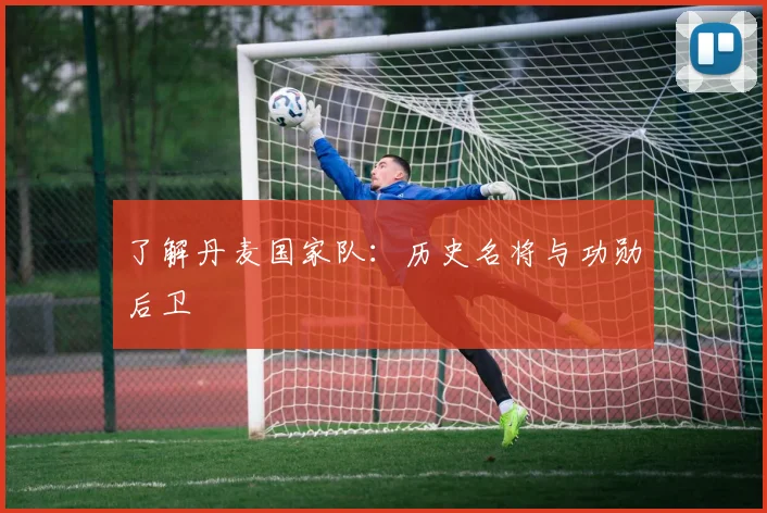 了解丹麦国家队：历史名将与功勋后卫