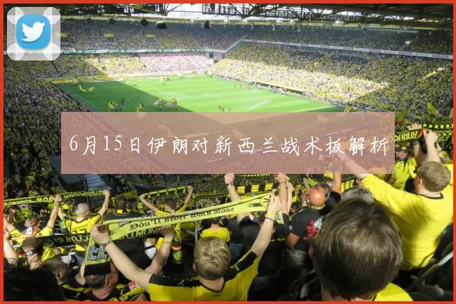 6月15日伊朗对新西兰战术板解析